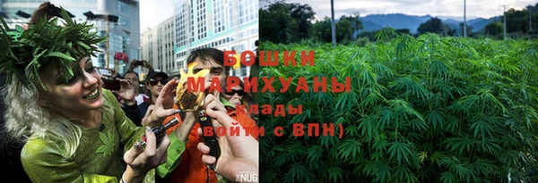сатива Михайловск