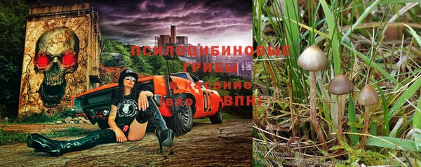 сатива Михайловск