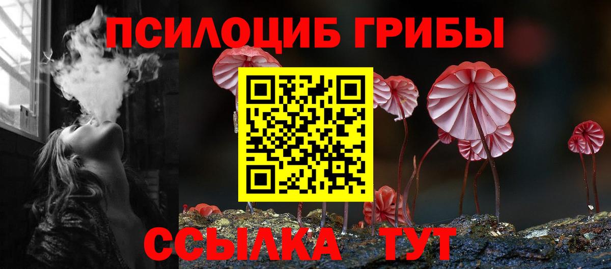 Псилоцибиновые грибы GOLDEN TEACHER Астрахань