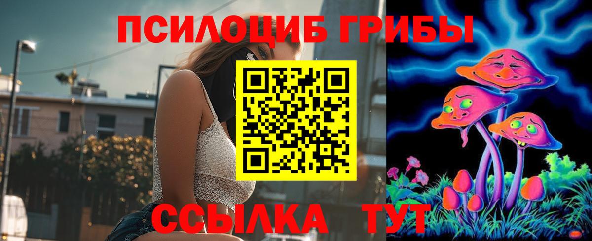 Галлюциногенные грибы ЛСД  как найти закладки  Галлюциногенные грибы Cubensis  Астрахань 