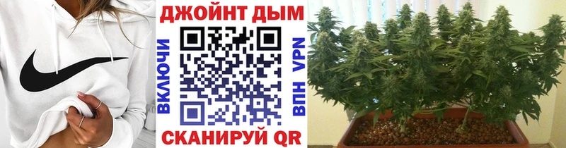 shop состав  Астрахань  МАРИХУАНА OG Kush 